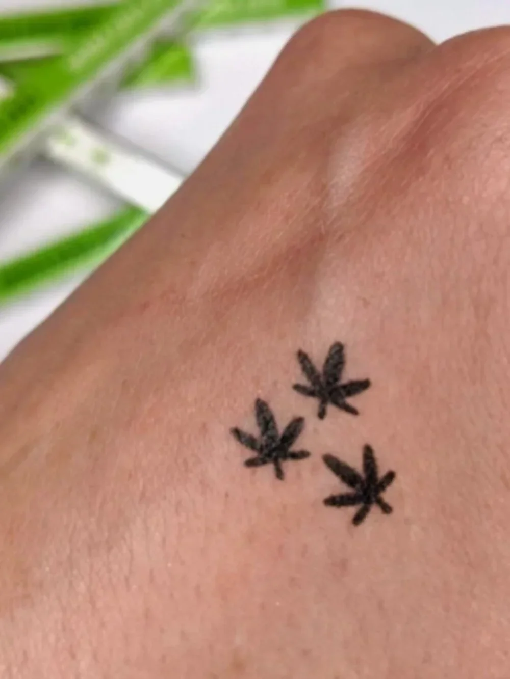 2 in 1 Eyeliner Stamp Pen Hemp Leaf Waterproof Smudge Proof Black Makeup